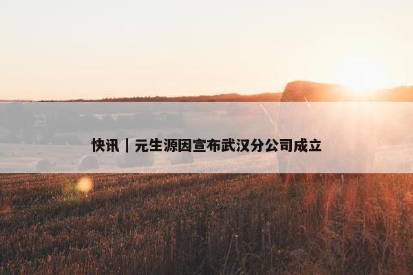 快讯｜元生源因宣布武汉分公司成立