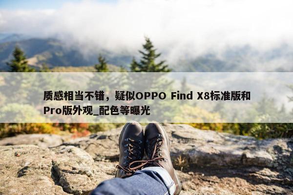 质感相当不错，疑似OPPO Find X8标准版和Pro版外观_配色等曝光