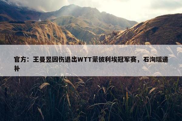 官方：王曼昱因伤退出WTT蒙彼利埃冠军赛，石洵瑶递补