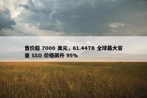 售价超 7000 美元，61.44TB 全球最大容量 SSD 价格飙升 95%