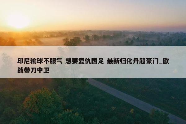 印尼输球不服气 想要复仇国足 最新归化丹超豪门_欧战带刀中卫