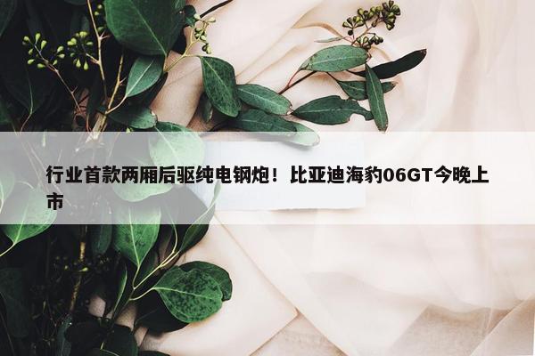 行业首款两厢后驱纯电钢炮！比亚迪海豹06GT今晚上市