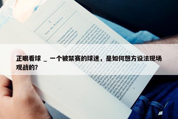 正眼看球 _ 一个被禁赛的球迷，是如何想方设法现场观战的？