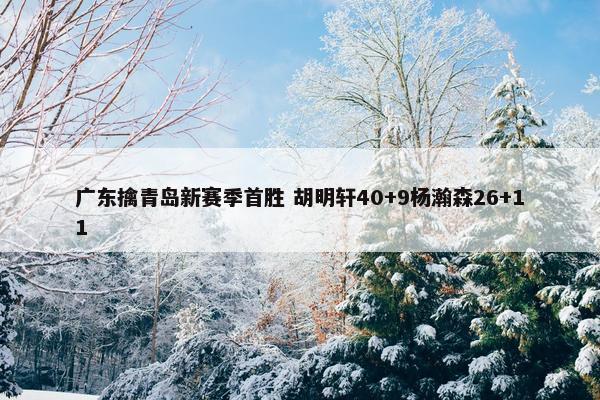 广东擒青岛新赛季首胜 胡明轩40+9杨瀚森26+11