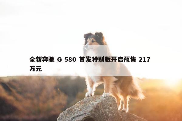 全新奔驰 G 580 首发特别版开启预售 217 万元