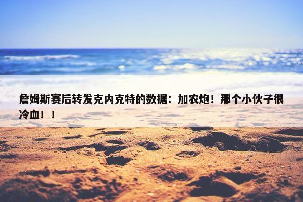 詹姆斯赛后转发克内克特的数据：加农炮！那个小伙子很冷血！！