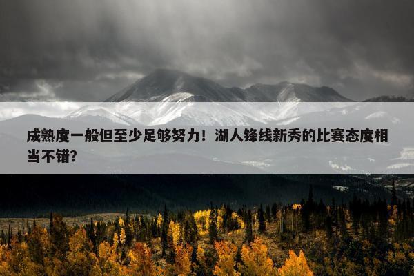 成熟度一般但至少足够努力！湖人锋线新秀的比赛态度相当不错？