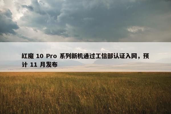 红魔 10 Pro 系列新机通过工信部认证入网，预计 11 月发布