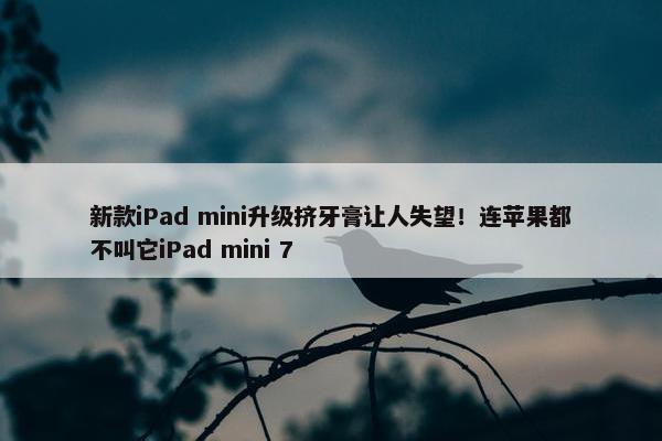 新款iPad mini升级挤牙膏让人失望！连苹果都不叫它iPad mini 7