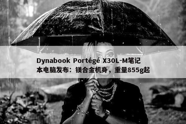 Dynabook Portégé X30L-M笔记本电脑发布：镁合金机身，重量855g起