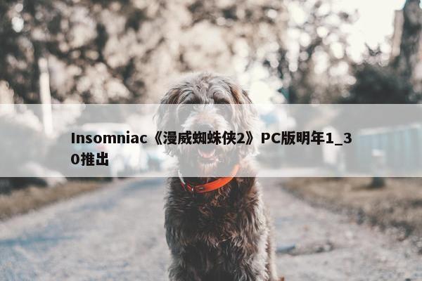 Insomniac《漫威蜘蛛侠2》PC版明年1_30推出