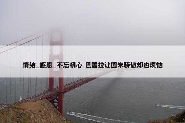 情结_感恩_不忘初心 巴雷拉让国米骄傲却也烦恼