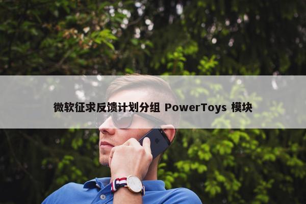 微软征求反馈计划分组 PowerToys 模块