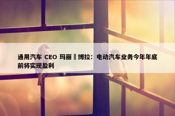 通用汽车 CEO 玛丽・博拉：电动汽车业务今年年底前将实现盈利