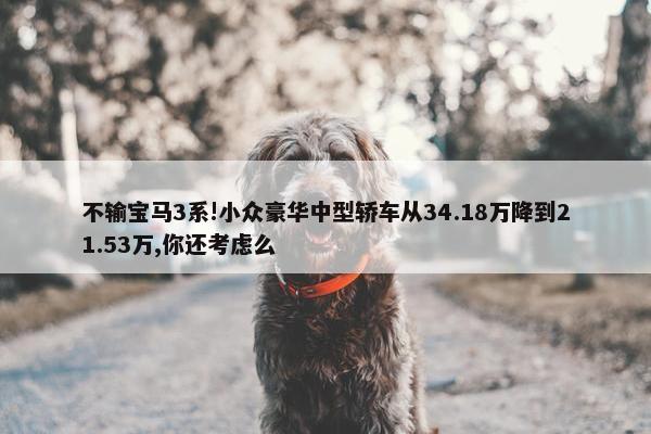 不输宝马3系!小众豪华中型轿车从34.18万降到21.53万,你还考虑么