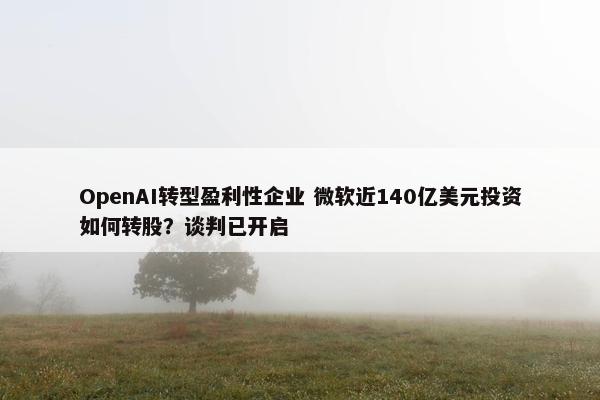 OpenAI转型盈利性企业 微软近140亿美元投资如何转股？谈判已开启