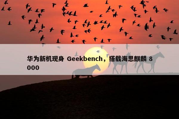 华为新机现身 Geekbench，搭载海思麒麟 8000