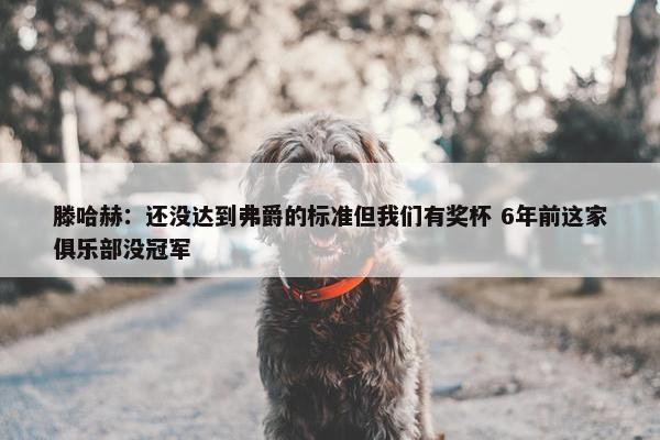 滕哈赫：还没达到弗爵的标准但我们有奖杯 6年前这家俱乐部没冠军