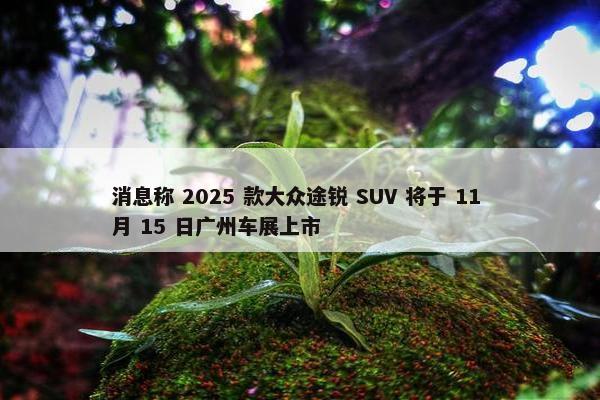 消息称 2025 款大众途锐 SUV 将于 11 月 15 日广州车展上市