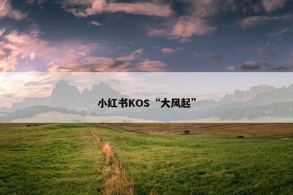 小红书KOS“大风起”