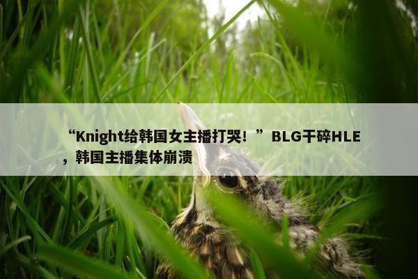 “Knight给韩国女主播打哭！”BLG干碎HLE，韩国主播集体崩溃