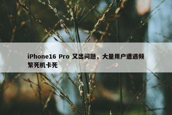 iPhone16 Pro 又出问题，大量用户遭遇频繁死机卡死