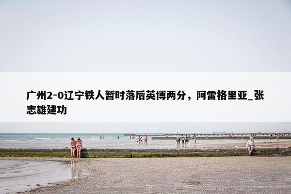 广州2-0辽宁铁人暂时落后英博两分，阿雷格里亚_张志雄建功