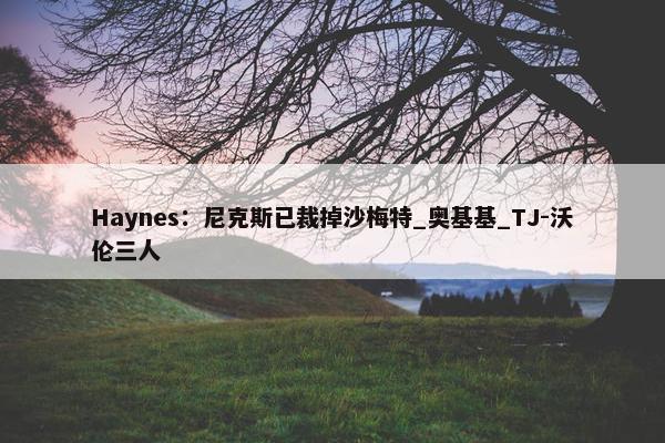 Haynes：尼克斯已裁掉沙梅特_奥基基_TJ-沃伦三人