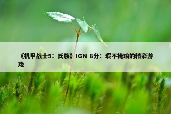 《机甲战士5：氏族》IGN 8分：瑕不掩瑜的精彩游戏