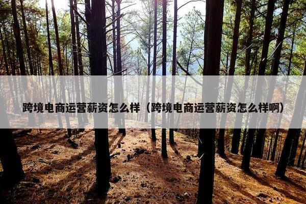 跨境电商运营薪资怎么样（跨境电商运营薪资怎么样啊）