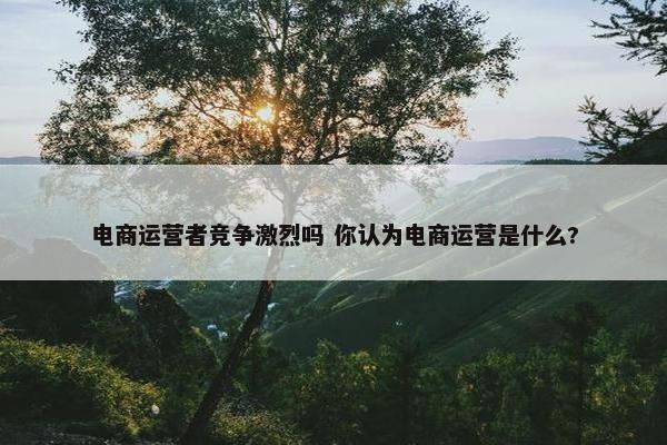 电商运营者竞争激烈吗 你认为电商运营是什么?