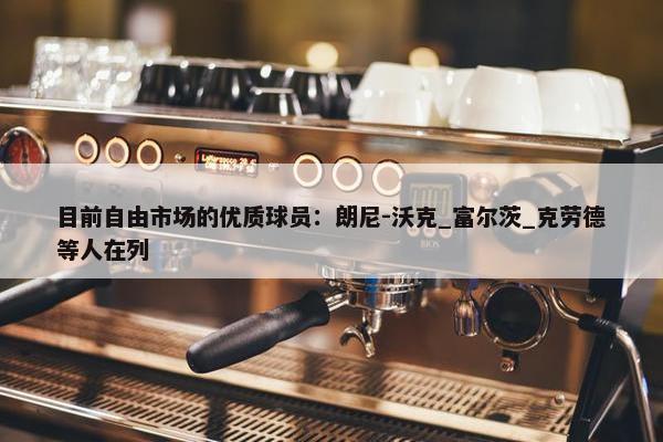 目前自由市场的优质球员：朗尼-沃克_富尔茨_克劳德等人在列