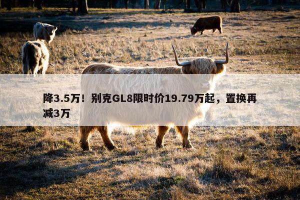 降3.5万！别克GL8限时价19.79万起，置换再减3万