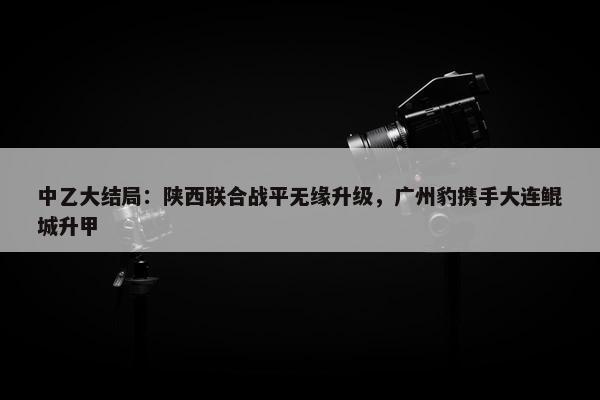 中乙大结局：陕西联合战平无缘升级，广州豹携手大连鲲城升甲