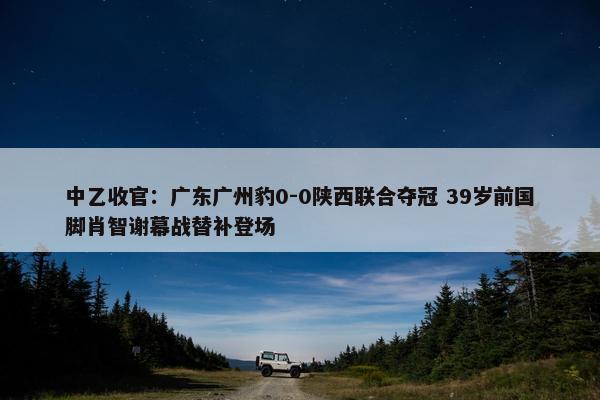 中乙收官：广东广州豹0-0陕西联合夺冠 39岁前国脚肖智谢幕战替补登场