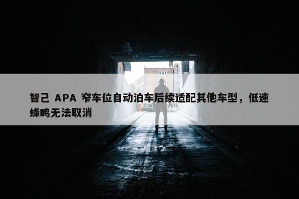 智己 APA 窄车位自动泊车后续适配其他车型，低速蜂鸣无法取消