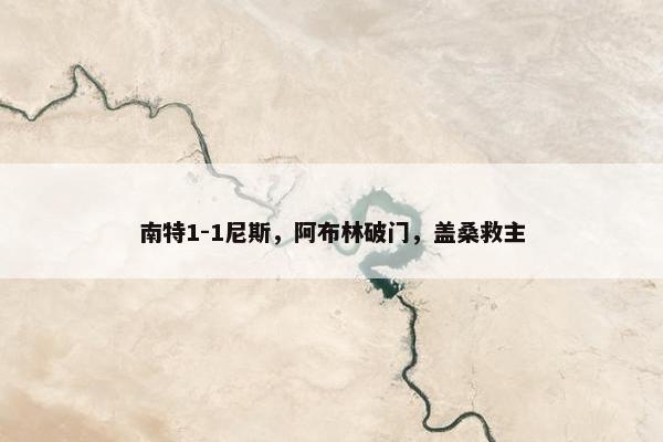 南特1-1尼斯，阿布林破门，盖桑救主