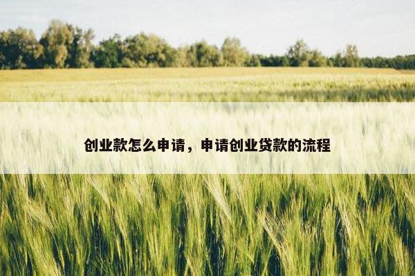 创业款怎么申请，申请创业贷款的流程