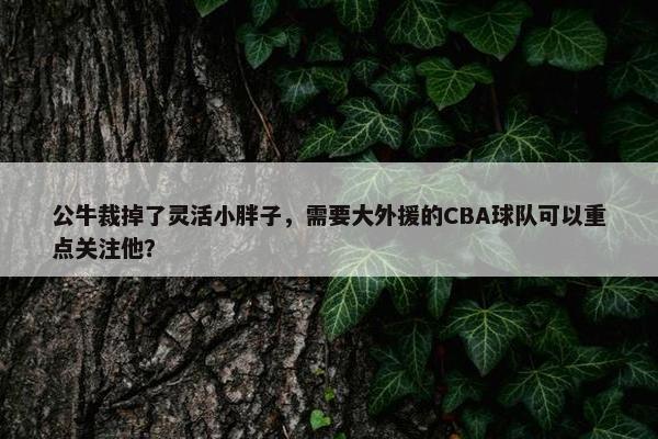 公牛裁掉了灵活小胖子，需要大外援的CBA球队可以重点关注他？