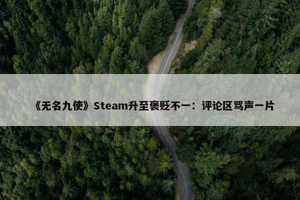 《无名九使》Steam升至褒贬不一：评论区骂声一片