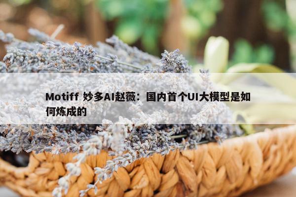 Motiff 妙多AI赵薇：国内首个UI大模型是如何炼成的