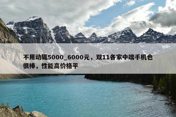 不用动辄5000_6000元，双11各家中端手机也很棒，性能高价格平