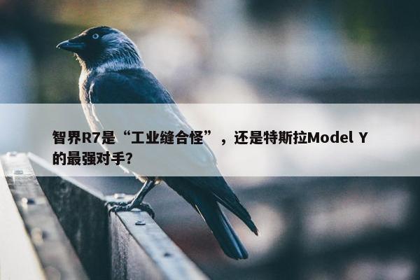 智界R7是“工业缝合怪”，还是特斯拉Model Y的最强对手？