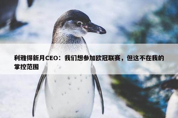 利雅得新月CEO：我们想参加欧冠联赛，但这不在我的掌控范围