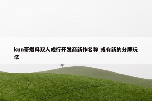 kun哥爆料双人成行开发商新作名称 或有新的分屏玩法