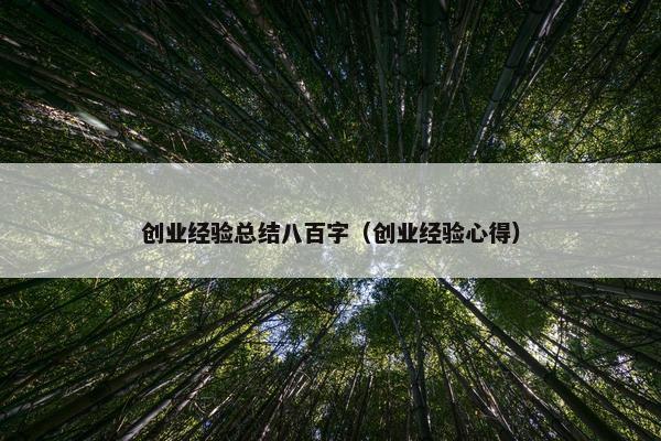 创业经验总结八百字（创业经验心得）