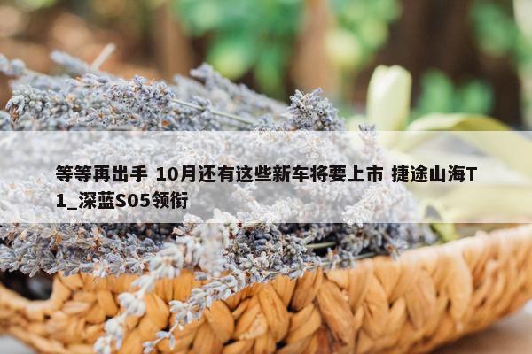 等等再出手 10月还有这些新车将要上市 捷途山海T1_深蓝S05领衔