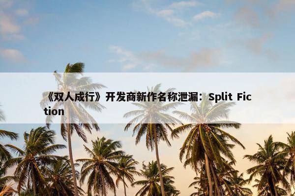 《双人成行》开发商新作名称泄漏：Split Fiction