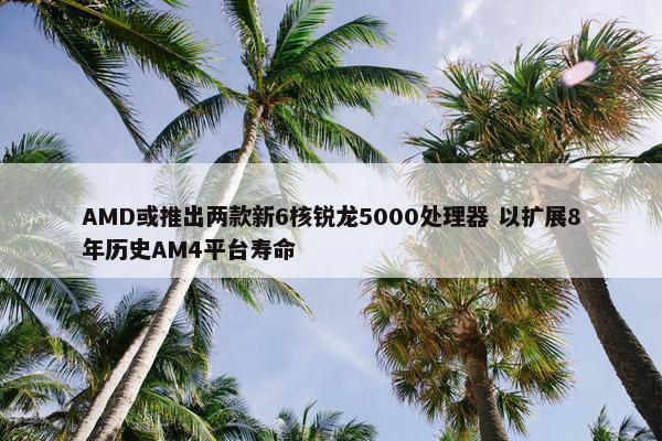 AMD或推出两款新6核锐龙5000处理器 以扩展8年历史AM4平台寿命