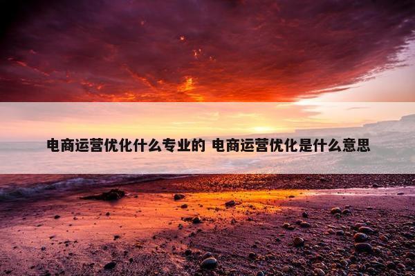 电商运营优化什么专业的 电商运营优化是什么意思